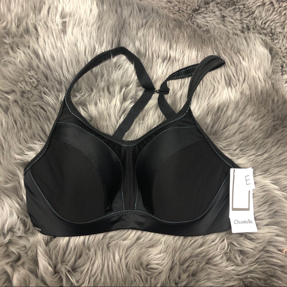Chantelle Sports Bra: 34DD (PM1378)